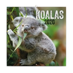 Naptár fali Realsystem 6097 lemez 30x30 cm Koalas